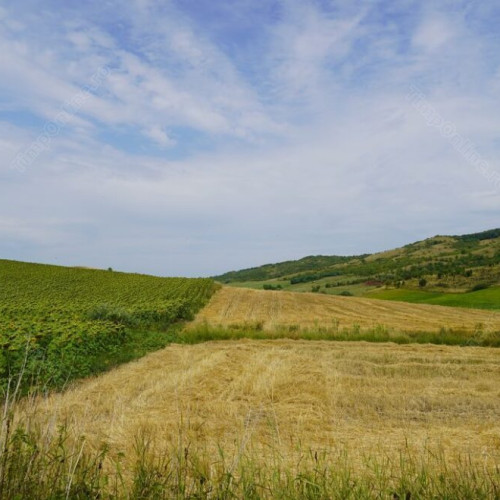 APIA Bistrița-Năsăud anunță scăderea numărului de cereri de plată pentru fermieri