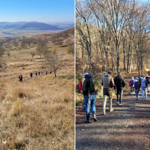 Se deschide un contract de voluntariat pentru cercetarea arheologică la Orheiu Bistriței