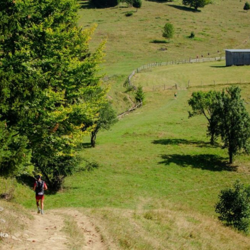 Maratonul Via Transilvanica are loc la Campusul Tasuleasa Social