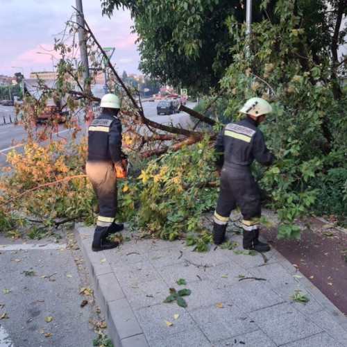 Pompierii intervin pentru îndepărtarea unui copac căzut