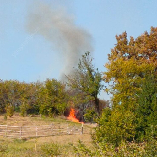 Incendii devastatoare în Bistrița: peste 60 de hectare arse între Negrilesti și Caianu Mic