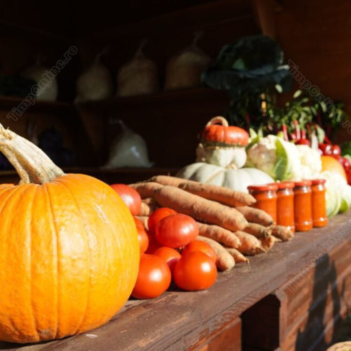 Toamna Bistriteana: Expozitii de produse agricole si apicole