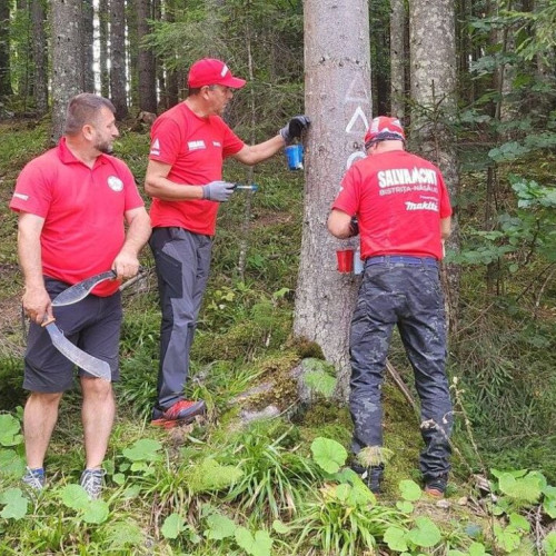 Remarcarea traseelor montane în Muntii Calimani devine o necesitate