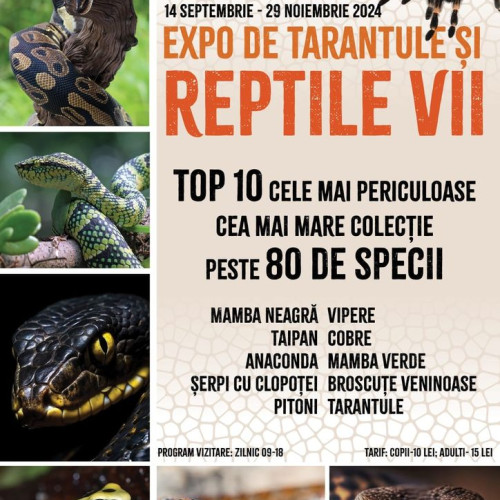 Expozitie fascinantă dedicată șerpilor și altor reptile exotice