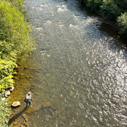 Felicitări pentru ecologizarea malurilor râurilor