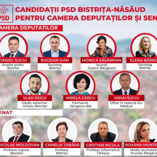 Candidaturile PSD Bistrița-Năsăud pentru alegerile parlamentare