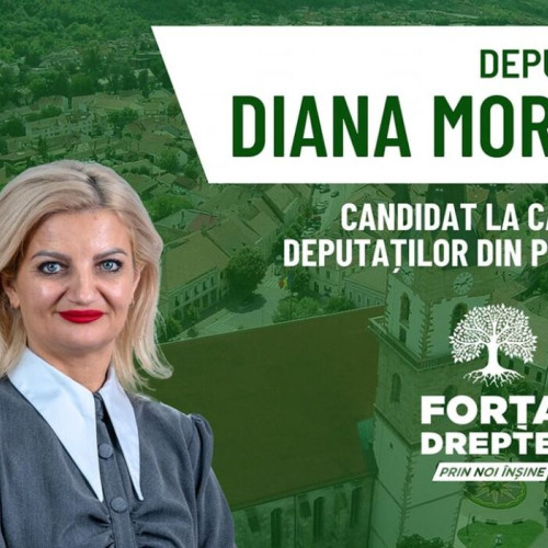 Deputat Diana Morar, cel mai activ parlamentar din Bistrița-Năsăud