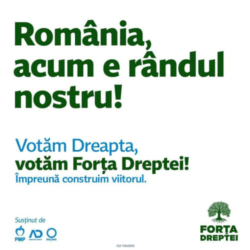 Ce planuri are Iohannis? PNL și PSD se mobilizează pentru o nouă rundă electorală