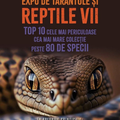 Noile achiziții ale Muzeului din Bistrița-Năsăud: O lume fascinantă a reptilelor