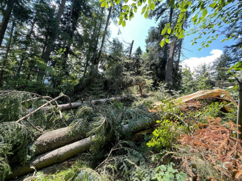 Accesul la vârful Piatra lui Orban se face fie pe jos, pe traseul marcat dintre satul Colibița și Poiana Slătiinii, potrivit Salvamont Bistrița-Năsăud. De asemenea, se poate ajunge cu mașina pe un traseu ce începe de la Barajul Colibița, trece prin D.F. Slătița și continuă spre punctul de urcare de pe Valea Slătiinii, indicat de semnele de traseu.