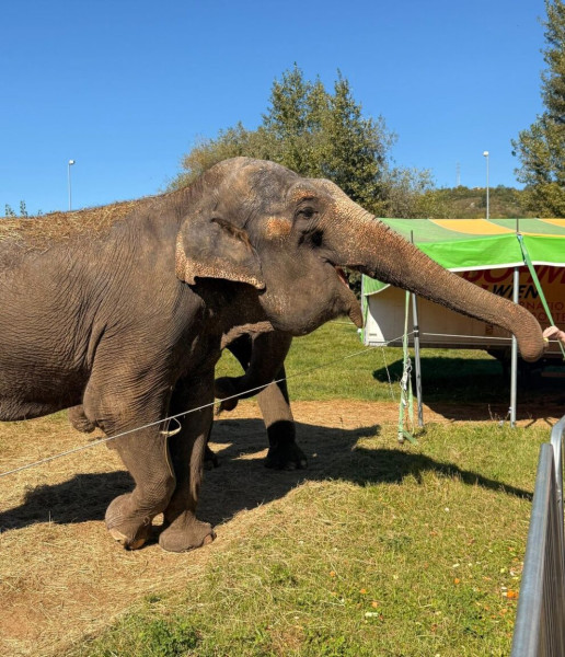 Zoo Park Bistrița deschide porțile pentru o experiență exotică în familie