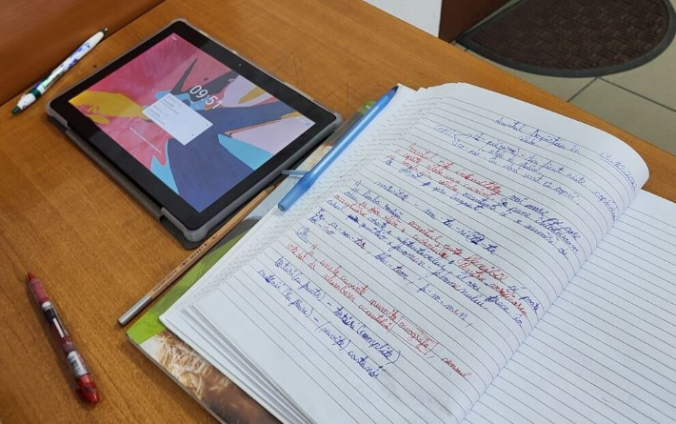 Mircea Miclea: lecțiile video ale profesorilor buni pot reduce analfabetismul funcțional în România