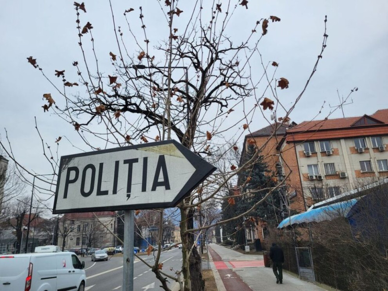 Doi bărbați amendați după ce au tăiat ilegal arbori în Sebiș