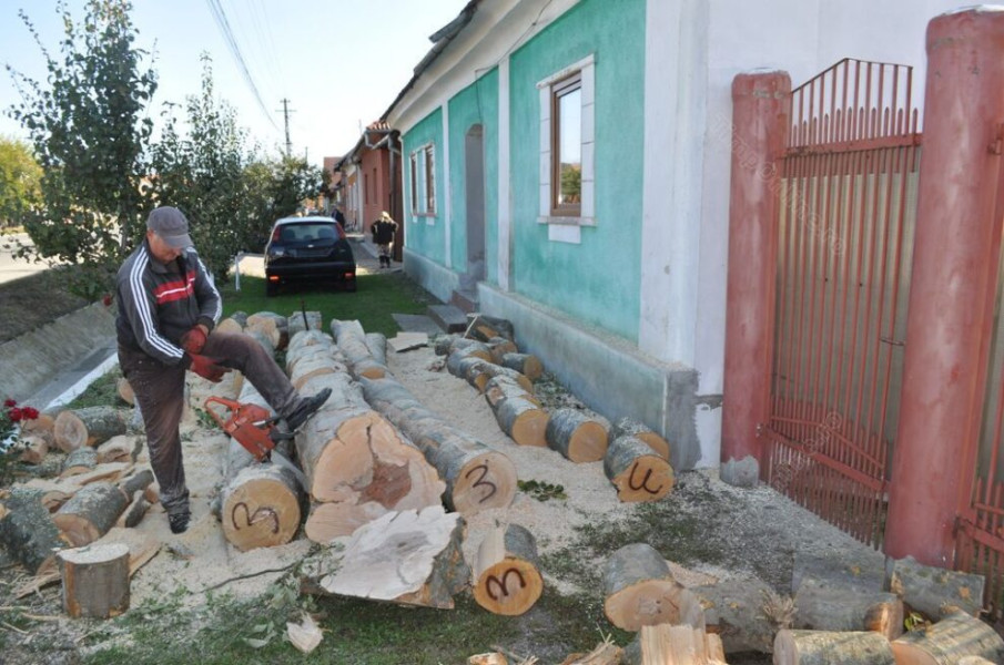 Crește numărul prestatorilor casnici în Bistrița-Năsăud, tot mai mulți aleg munca legală