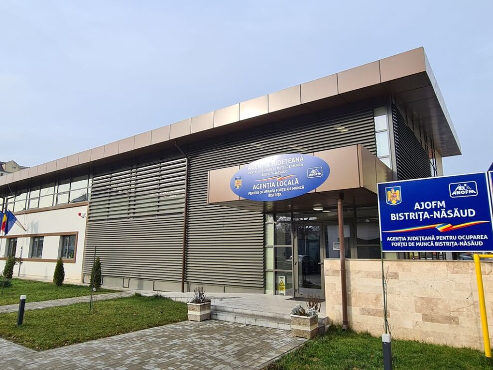 Mai mult de jumătate dintre persoanele angajate au peste 45 de ani și provin din mediul rural