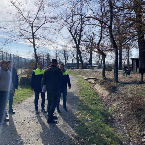 Municipalitatea se implică în îmbunătățirea pădurii-parc Schullerwald! Toate mobilierul deteriorat va fi recondiționat și vor fi adăugate și mai multe facilități!