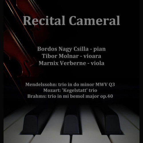 Recital în Palatul Culturii din Bistrița, joi 9 mai la ora 19.00: Mendelssohn, Mozart și Brahms în program