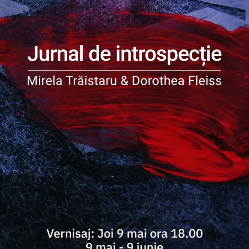 Jurnalul de introspecție", expoziție fascinantă la Muzeul Bistrița