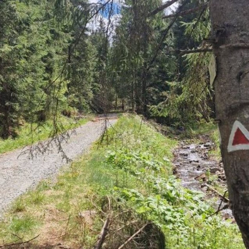 Turistii pot parcurge un traseu de 11 km cu plecare din Colibița, semnalizat de Salvamont