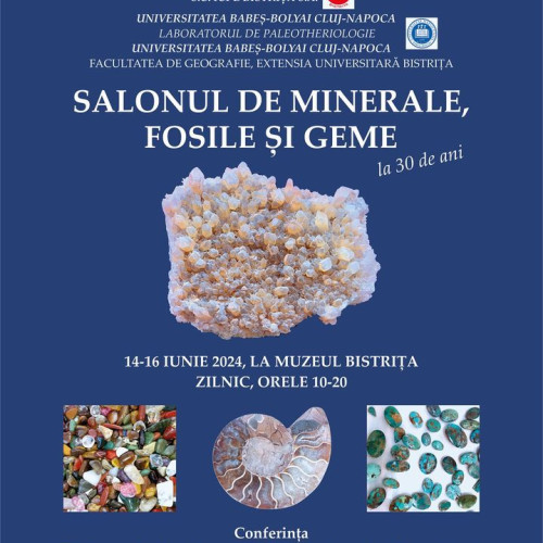 Salon mineralogic la Bistrița