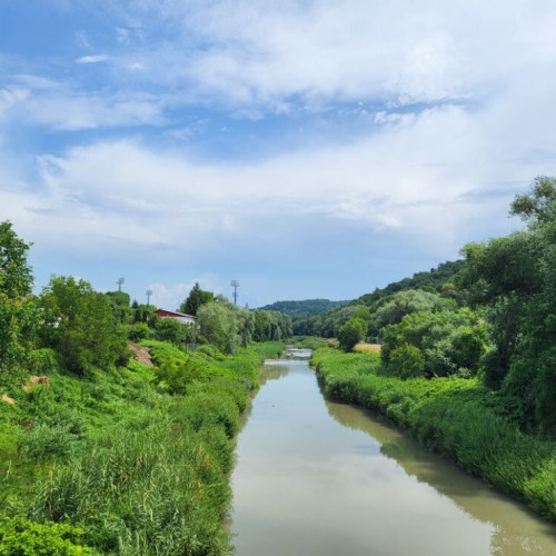 Campanie de monitorizare a speciilor de pești în râul Bistrița Ardeleană